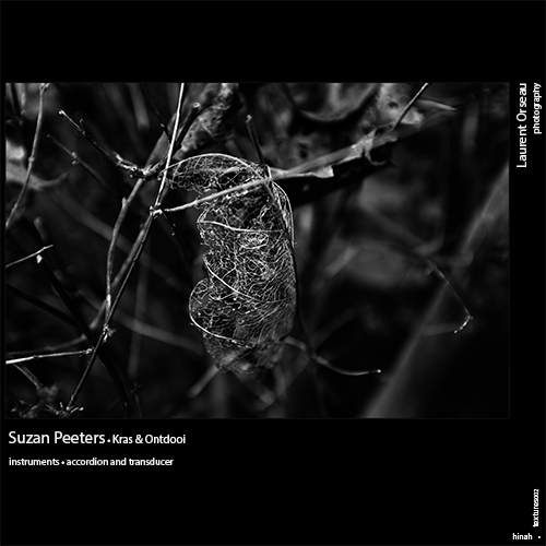 hinahtextures002 - Suzan Peeters "Kras & Ontdooi"